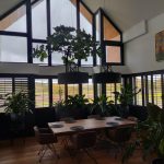 czarny shutters, czarne shuttersy